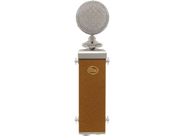 Blue Cactus Blue Cactus